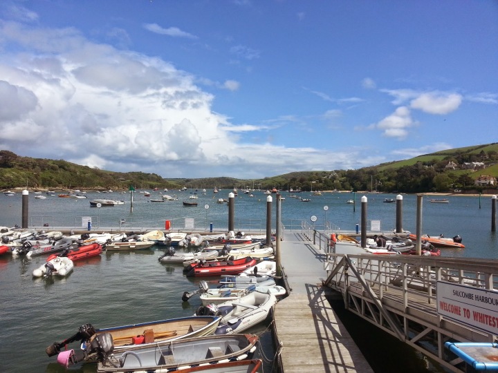 Marine Theft Initiative Launches At Salcombe Marine Theft Initiative Launches At Salcombe
