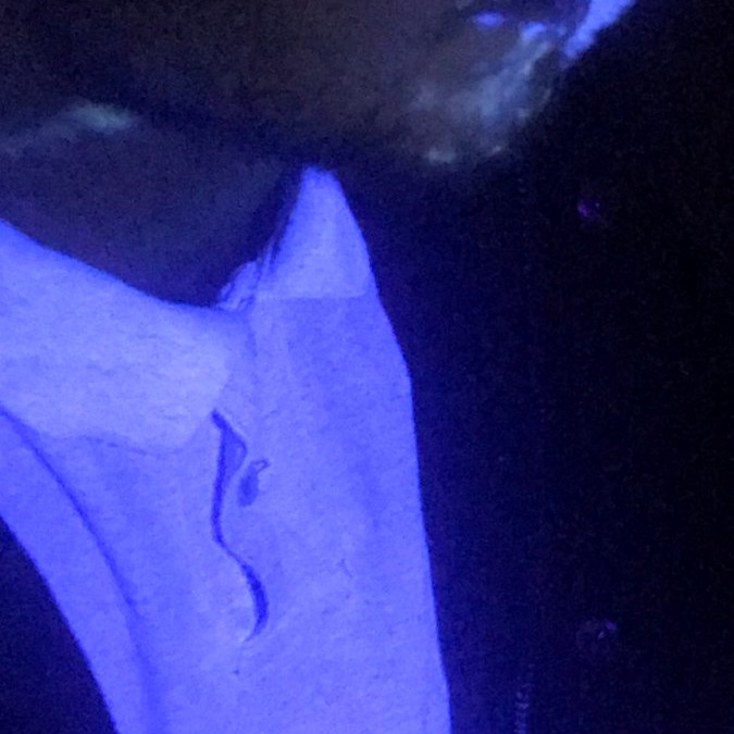 Essex Police DNA tagging spray on offender